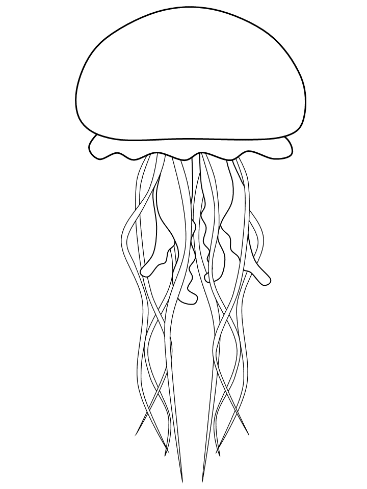 Detailed Jellyfish Coloring Page